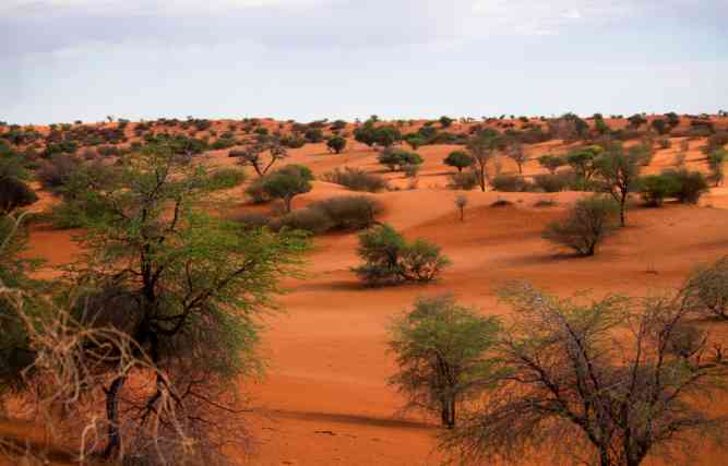 Lüderitz Area Campsites