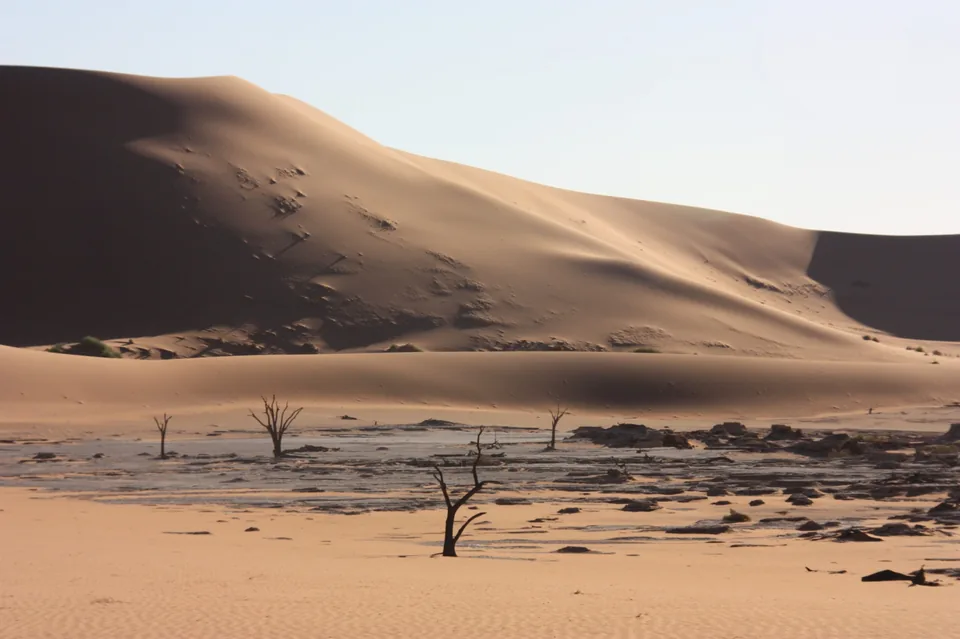 Red sand dunes of Sossusvlei rising under a clear blue sky