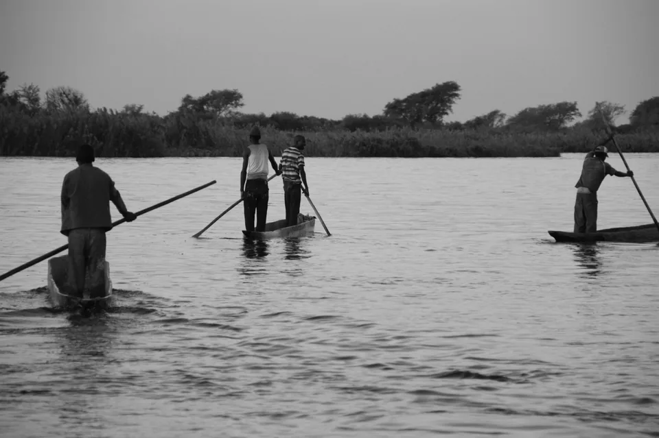 Fishermen poling mokoro canoes on a calm river in northern Namibia