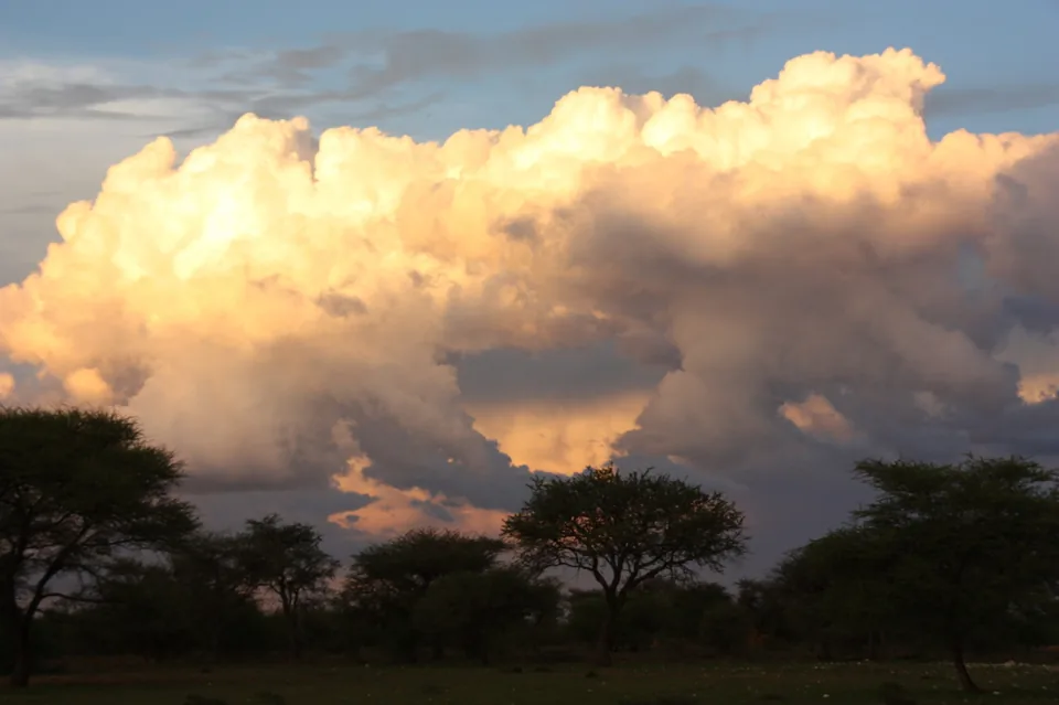 Dramatic storm clouds over the Namibian savannah at sunset